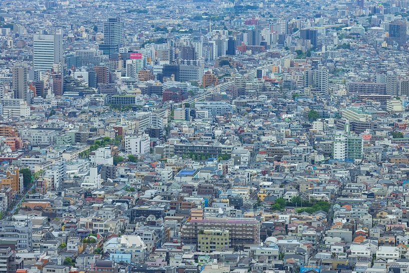 Skyline von Tokio (Japan) von Marcel Kerdijk