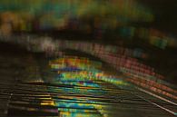 Blurred lines (spinnenweb in het zonlicht) van Marianne Jonkman thumbnail