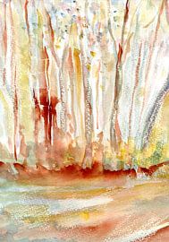 Sunpath van Claudia Gründler