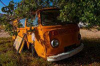abandoned volkswagen van