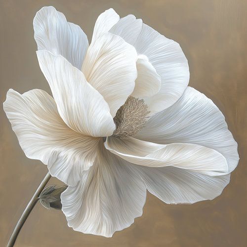 Flower on brown background