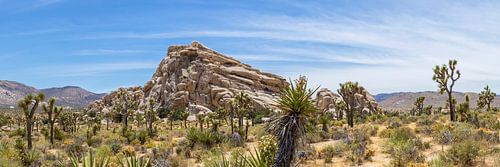 Joshua Tree National Park Panorama sur Melanie Viola