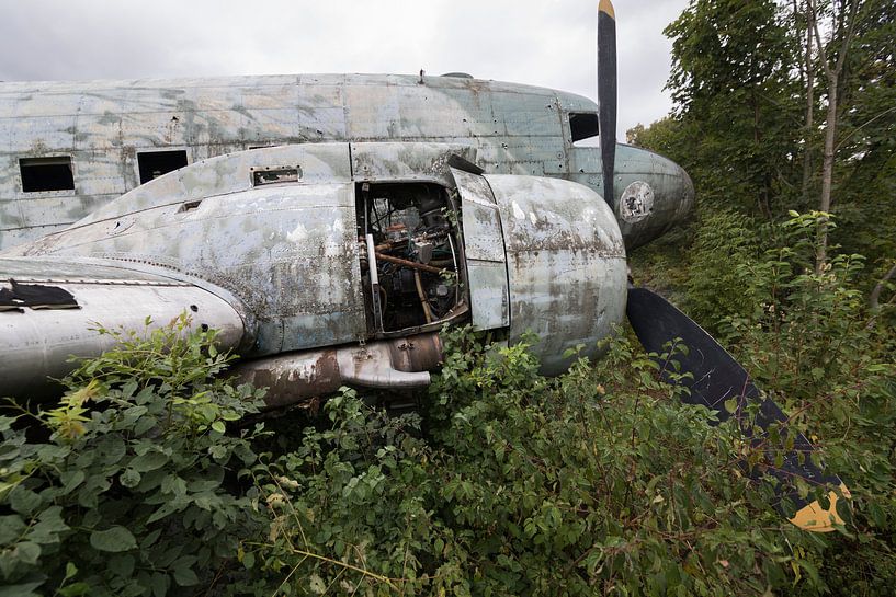 Épave d'un avion militaire abandonné Dakota par Ger Beekes