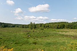Flusslandschaft Emmels von Richard Wareham