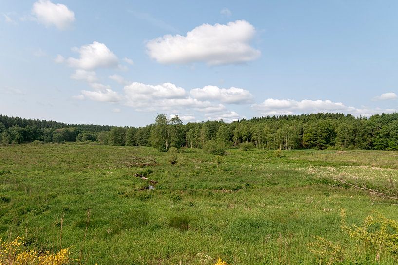 Paysage de la rivière Emmels par Richard Wareham