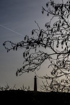 Schiermonnikoog, mooi silhouet foto van de vuurtoren van Lydia