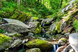 A view of the Roman Gorge near Velden am Woerthersee by Andreas Völkel