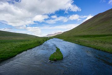 Islande - Estuaire dans une vallée verdoyante et un paysage montagneux sur adventure-photos