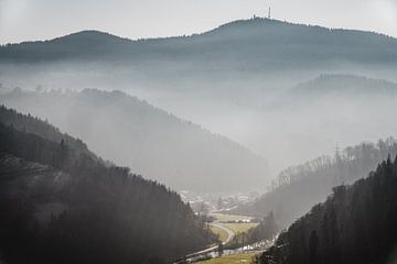 Nature