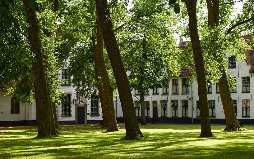 Brugge, België van Jarne Buttiens