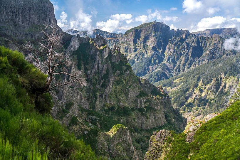Madeira by Peter Schickert