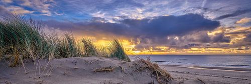 Sonnenuntergang über der Dünenlandschaft