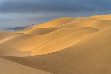 Dunes near Walvisbaai by Ton van den Boogaard