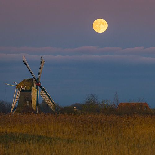 Volle maan bij de Noordermolen, Groningen, Nederland