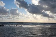 Zandbank met meeuwen bij Rantum bij Sylt van Martin Flechsig thumbnail