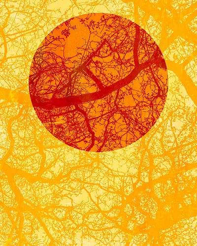 Lever de soleil en Afrique