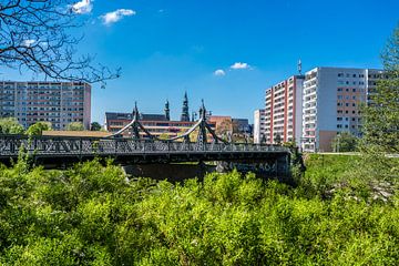 Skyline von Zwickau in Sachsen von Animaflora PicsStock