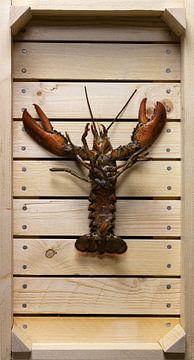 Lobster in auction crate by Roland van Balen