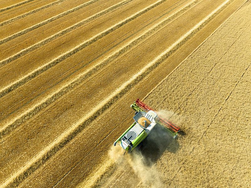 Mähdrescher bei der Weizenernte im Sommer von oben gesehen von Sjoerd van der Wal Fotografie