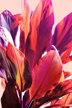 Fuchsia bladeren I van Gemma Bardot