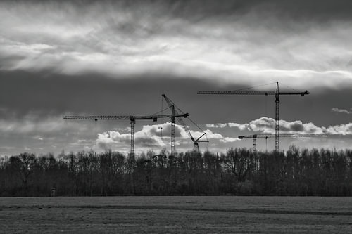 Baukräne ragen während eines dramatischen Sonnenuntergangs über einer bewaldeten Landschaft auf.
