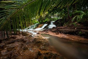Chute d'eau avec des palmiers tropicaux sur Corrine Ponsen