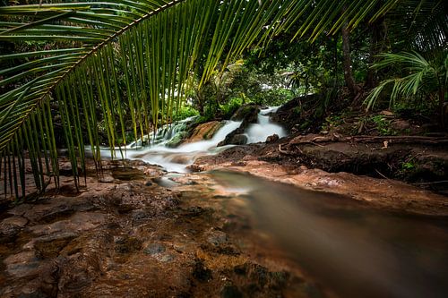 Waterfall with tropical palms
