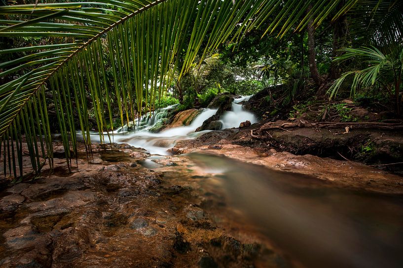Wasserfall mit tropischen Palmen von Corrine Ponsen