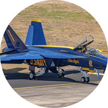 Blue Angel nummer 1 Boeing F/A-18E Super Hornet.
