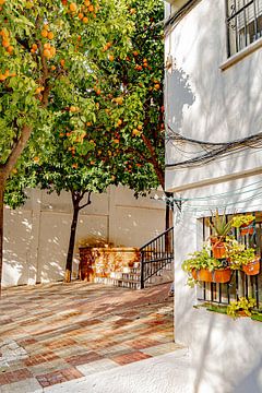 Oranges up for grabs, Marbella by Mark Litjens Art