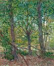 Vincent van Gogh, Trees by 1000 Schilderijen thumbnail