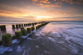 Summer breeze sur Ferry veldhuizen