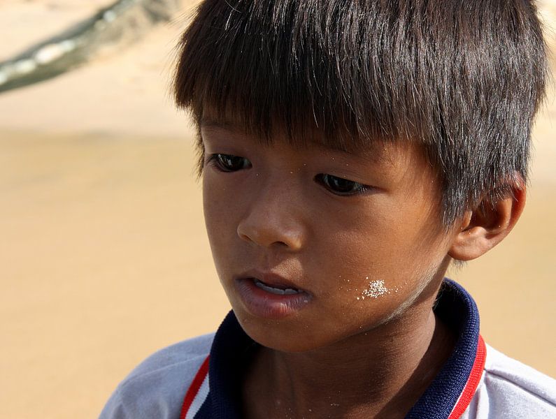 Vietnamees vissertje par Loraine van der Sande