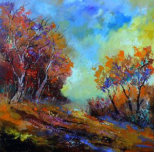 Lumière automnale sur pol ledent