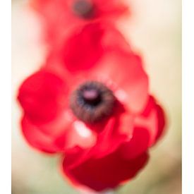 Flower Wisdom von Wendy Leyten