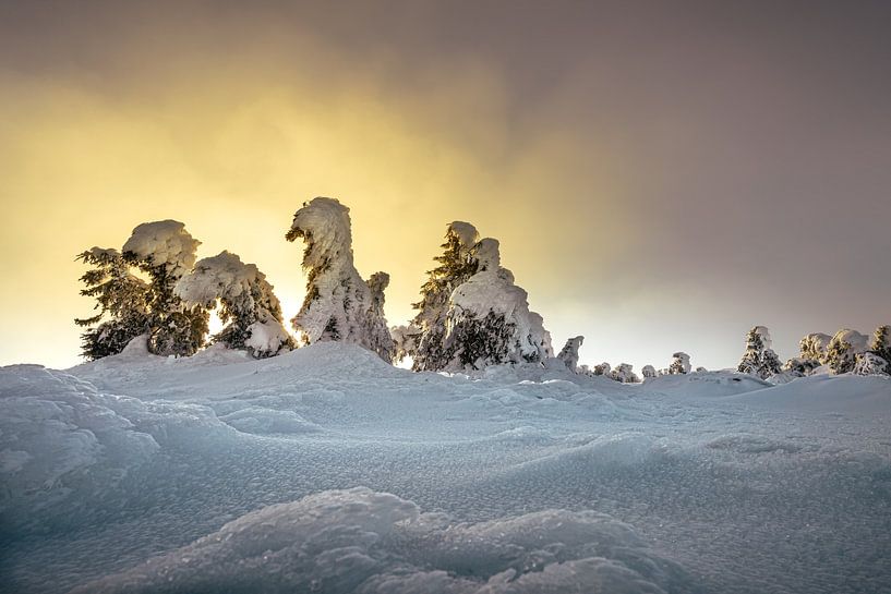 Le calme avant la tempête par Steffen Henze