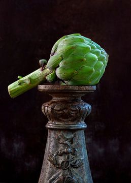 Ode to the artichoke by Diane Cruysberghs