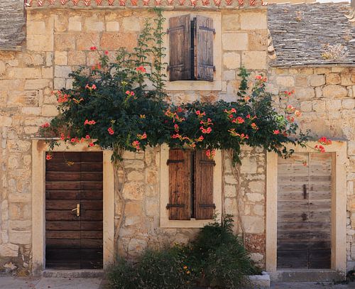 Maison à l'île de la Méditerranée