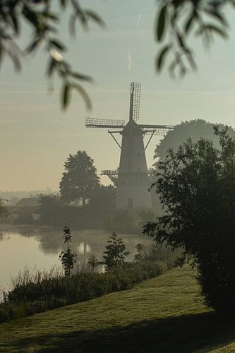 Molen de vlinder, Deil