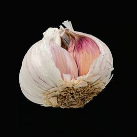 Garlic bulb by René Weijers