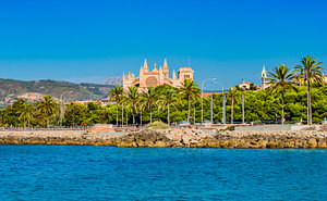 Blick auf die Kathedrale La Seu an der Küste von Palma de Mallorca