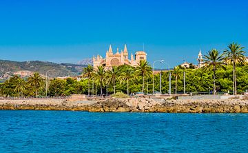 Zicht op kathedraal La Seu aan de kust van Palma de Mallorca van Alex Winter