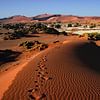 Footsteps in the red dunes landscape of the Sossusvlei, Namibia by images4nature by Eckart Mayer Photography