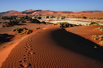 Fußspuren in der roten Dünenlandschaft im Sossusvlei, Namibia