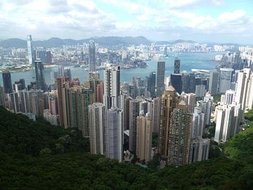 Hong Kong Skyline van Berg Photostore