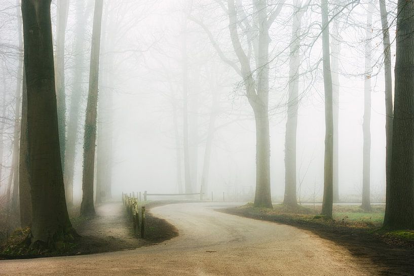 Winding Through the Mist by Fabrizio Micciche