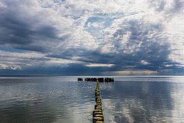 A groyne in the Szczecin Lagoon near Kamminke on the island of Usedom by Rico Ködder