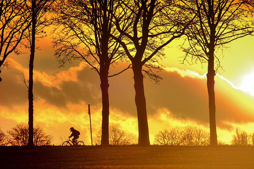 Sunsetbike van Edgar Schermaul