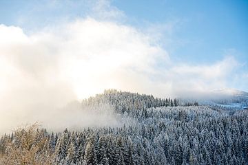 Brouillard sur la montagne | Alpes autrichiennes sur Van Kelly's Hand