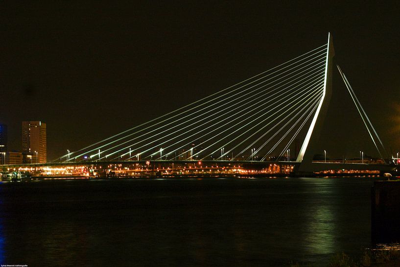 Erasmusbrug, de Zwaan von Sylvia Weenink